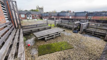 Royston property investment SG8 9LG - 049